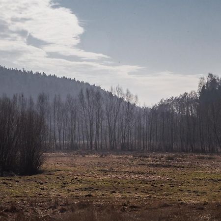 Domki Przystanek Drzewina Экстерьер фото